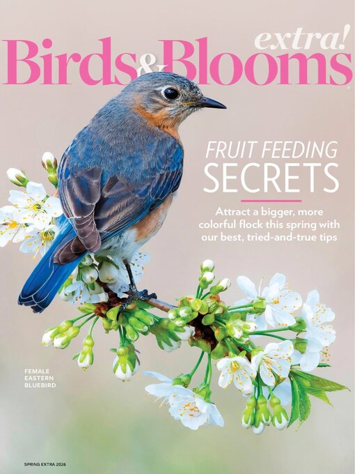 Cover image for Birds and Blooms Extra